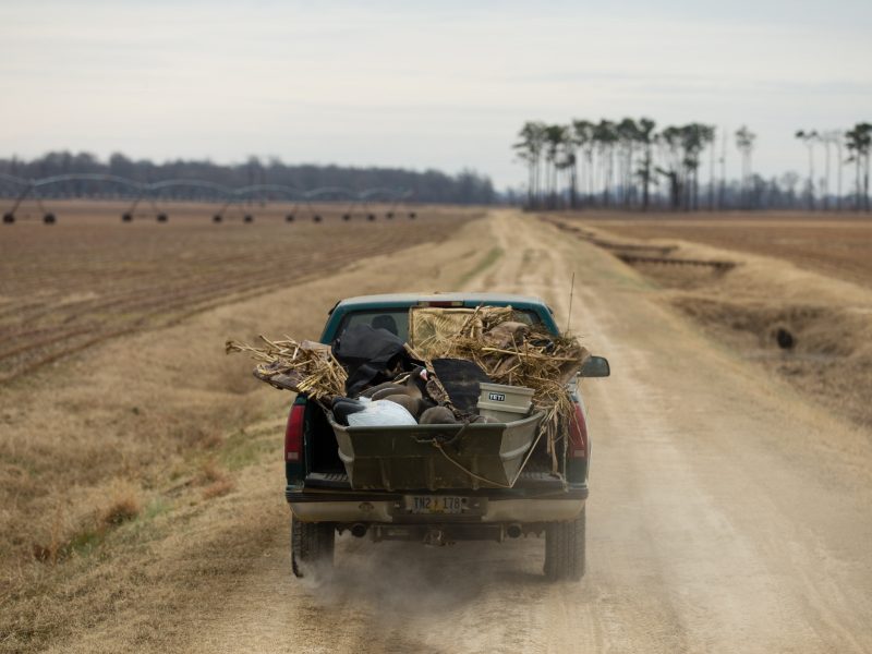 This image portrays Tennessee by Austin Stapleton.